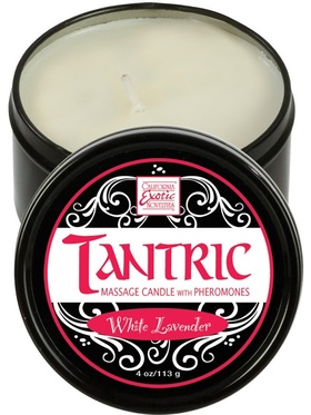 California Exotic: Tantric Massage Candle, White Lavender 