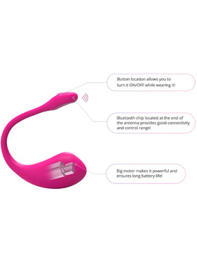 Lovense: Lush 2, Bluetooth Vibrator 