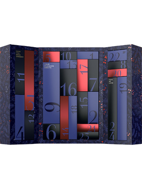 Satisfyer: Premium Advent Calendar 2024