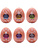 Tenga Egg: Stronger, Hard Boiled Package II, 6-pack