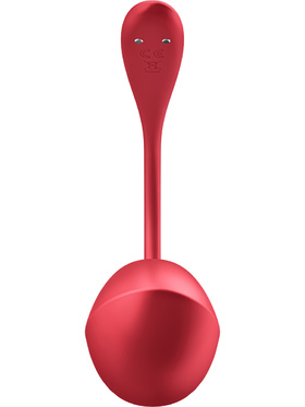 Satisfyer Connect: Shiny Petal, Wearable Vibrator, red